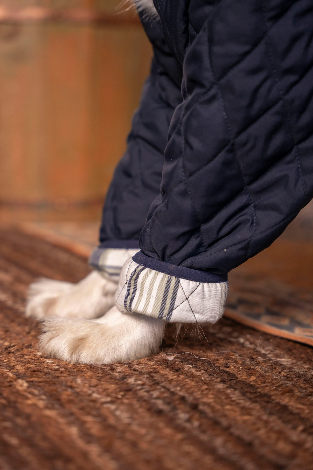 Balmoral Perro Azul Oscuro