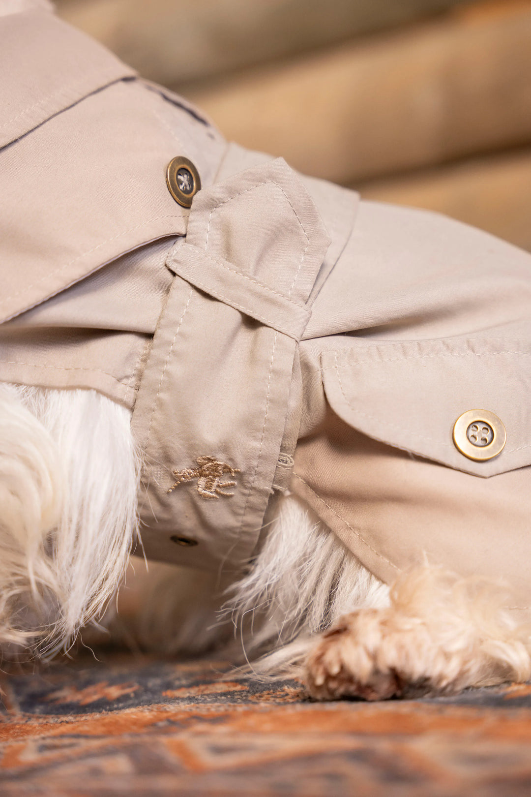 Trench Perro Beige Oscuro