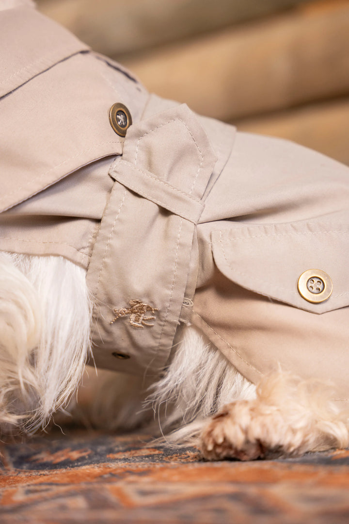 Trench Perro Beige Oscuro