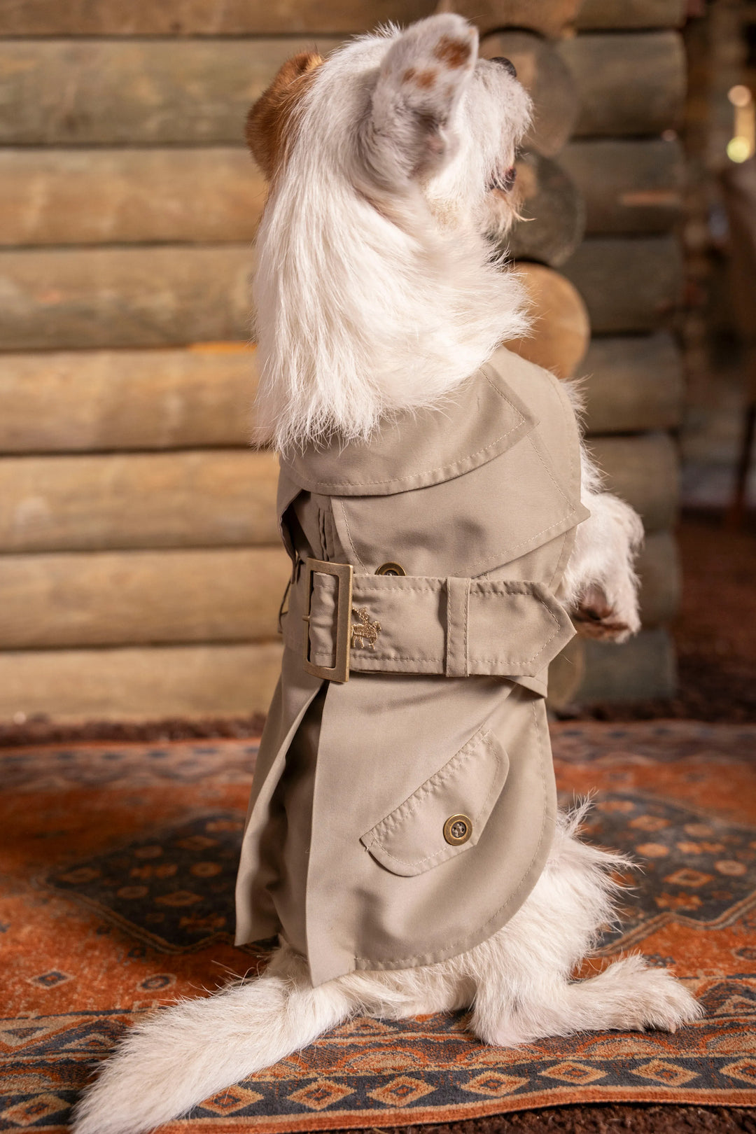 Trench Perro Beige Oscuro