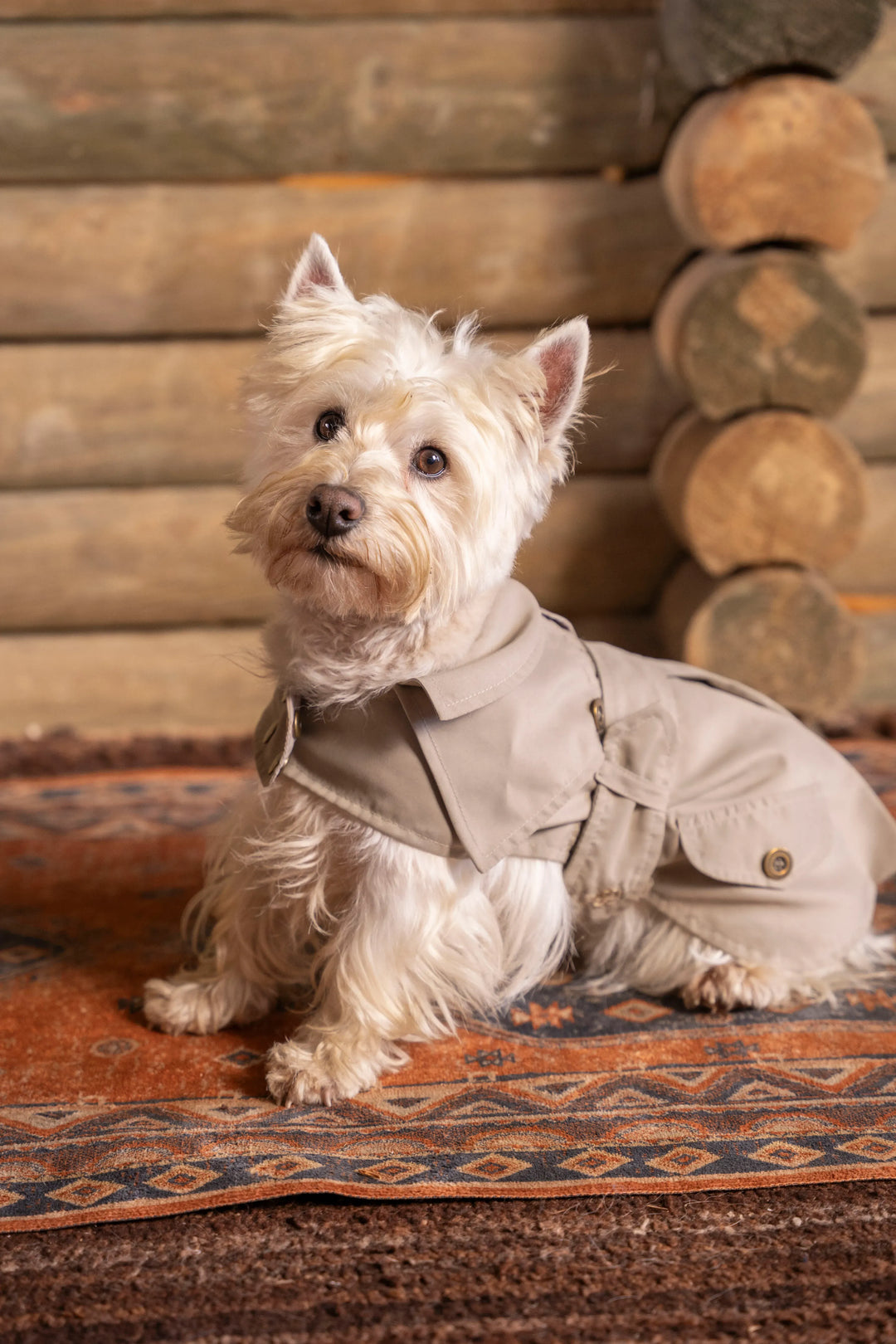 Trench Perro Beige Oscuro