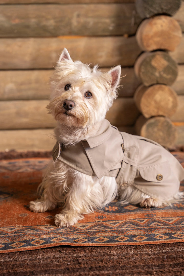 Trench Perro Beige Oscuro
