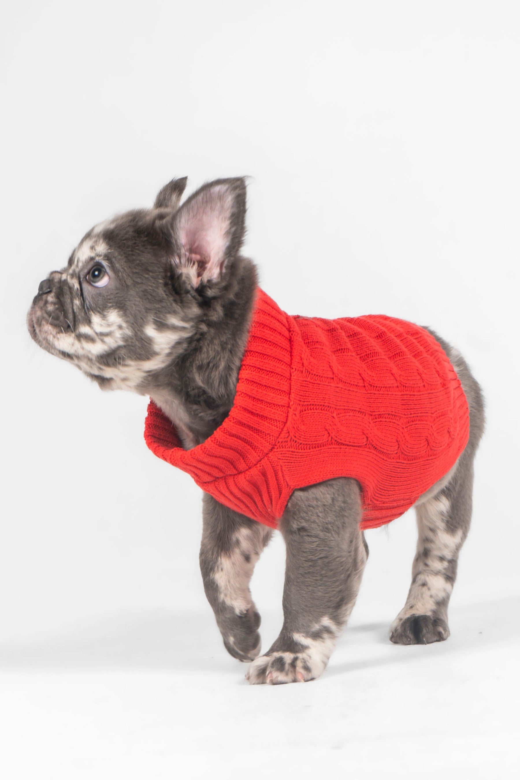 Saco para perros rojo. 100% algodón.